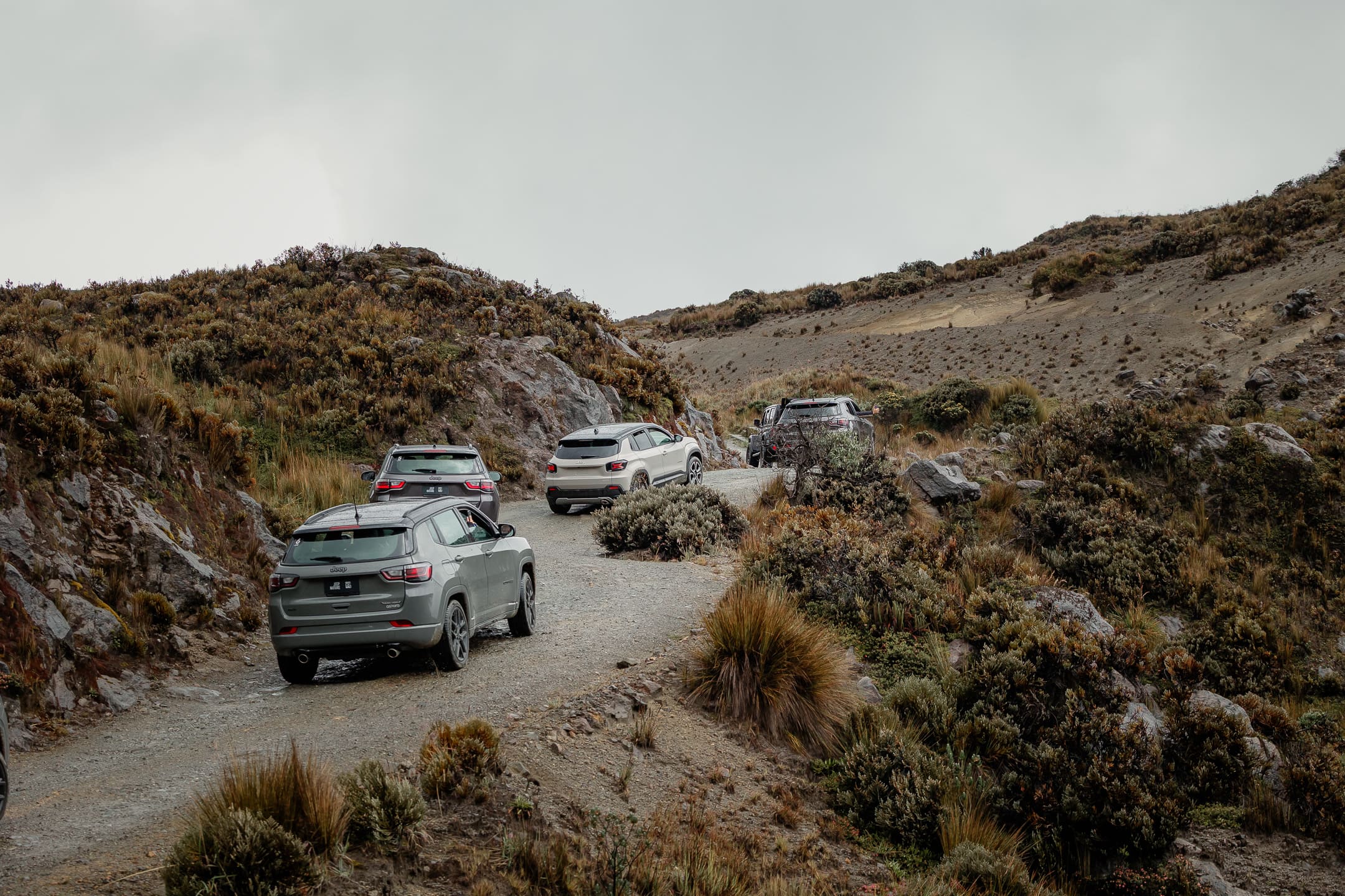 Jeep reúne su gama completa de vehículos para celebrar sus 85 años en el Eje Cafetero colombiano